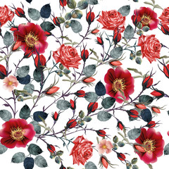 Fototapety  Piękny wektor wzór z czerwonymi kwiatami róży w realistycznym stylu vintage akwarela