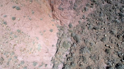 nature in its purest state