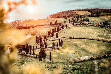 Mood fall photo of Tuscany and free space for your decoration 