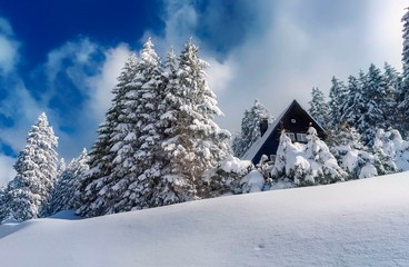 feldberg, germany, Winter