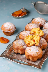 Homemade muffins with dried apricots sprinkled with icing sugar on a metal tray on a light blue background, vertical orientation, top view