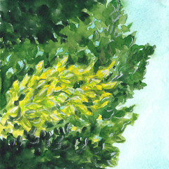 illustration of green foliage against a blue sky