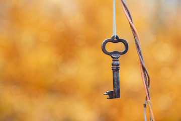 Vintage lost key hanging on a string on a tree branch on autumn nature background