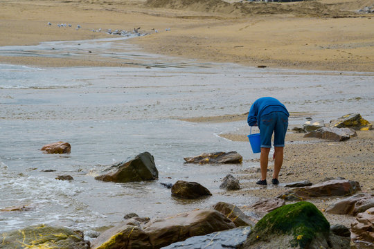 Single female person beach combing at the waters edge collecting things into a bucket
