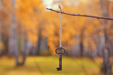 An old iron key on a branch. Autumn natural background.   Romantic scene, soft focus, copy space