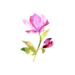 Pink drawing flower. Watercolor flower for greeting card decor. Floral greeting card. Wedding invitation floral design. 