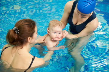Swimmer little baby looking in camera while immersing in water at swimming classes in paddling...