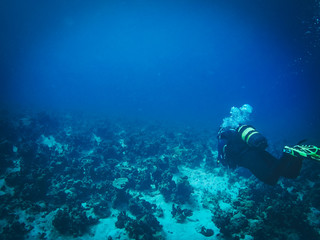 Fototapeta na wymiar Diving in Maria la gorda