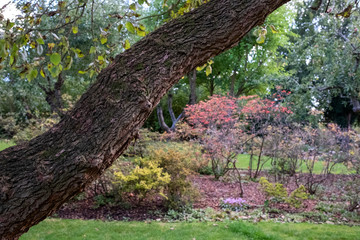 Park outside the walled garden at Eastcote House Gardens, photographed in autumn, Eastcote Hillingdon, UK