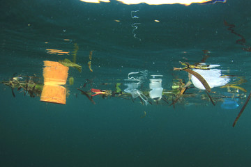 Plastic carrier bags and other garbage pollution in ocean