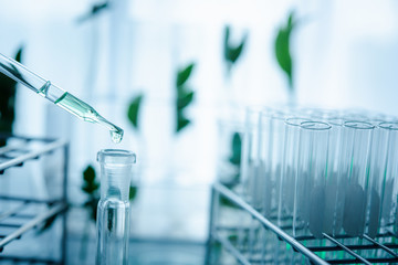 Dropper over test tube dropping sample chemical into sample herbal plaint , biotechnoloy research...
