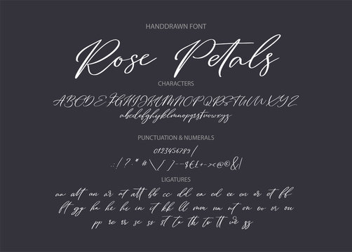 Hand drawn calligraphic vector font. Distress grunge texture. Modern script calligraphy type. ABC typography latin alphabet.