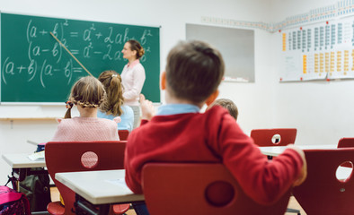 Boy student in elementary school class