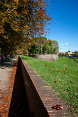 Autunno sulle mura di Lucca, Toscana