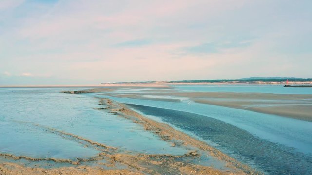 Heron at the beach - Baie de Canche (France)
