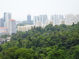 view of hong kong city