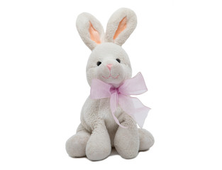 teddy rabbit in white background