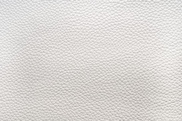 Plakat White natural animal skin texture. skin with pattern. background