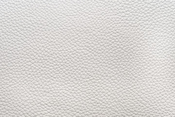 White natural animal skin texture. skin with pattern. background