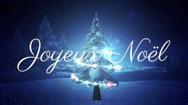 Joyeux NoÃ«l written over Christmas tree