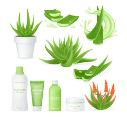 Aloe vera realistic set with fresh drops of water, medicinal plant leaves cut pieces with juice drops. Cosmetic packaging, perfumes, oils, shampoo, gel, skincare cream aloe vera. Vector isolated - obrazy, fototapety, plakaty
