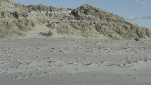  SpongeBob tagged on a blockhouse - Berck Beach (France) d-log