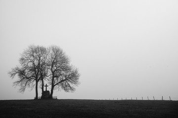 un monument aux morts, une croix, un calvaire sous des arbres dans le brouillard