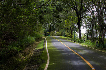 carretera a través de la selva en Tailandia