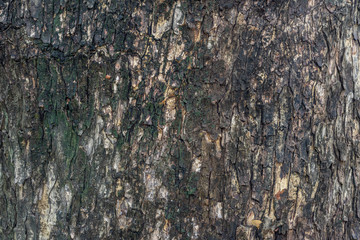 Nature stone texture for backgrounds image photo