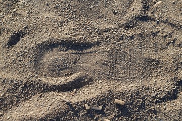Fototapeta na wymiar A close view of the shoe print in the sand on the beach.