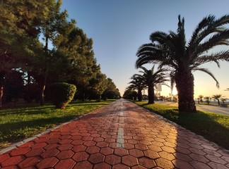 path in the park