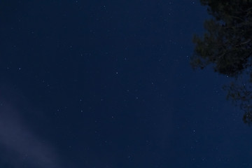 Obraz na płótnie Canvas Bottom view starry sky