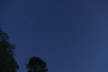 Fototapeta na wymiar Low angle night sky