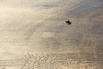 Aerial view of surfers walking on a sandy beach
