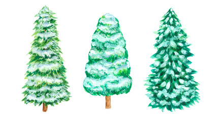 Christmas Snow pine tree set Hand drawn watercolor painting isolated on white background.