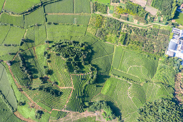 small village with farm in mountain