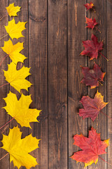Naklejka na ściany i meble Autumn composition. Red and yellow maple leaves in two rows from small to large as frame on dark wooden brown background. Thanksgiving day concept. Flat lay, top view, copy space