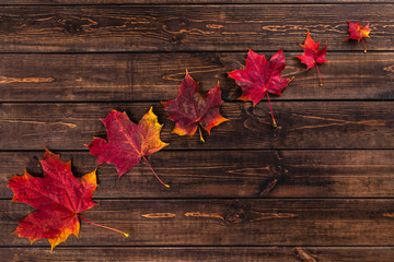 Naklejka na ściany i meble Autumn composition. Red maple leaves in one row from small to large dark wooden brown background. Thanksgiving day concept. Flat lay, top view, copy space