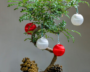 Bonsai di Natale -Piccolo albero con addobbi di palline e pigne