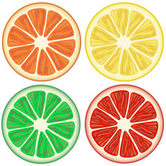 Obraz premium Colorful fruits. Illustration on white background for menu, restaurant, textiles, cards, invitations, website, banner, cafes, restaurants, coffee shops, catering.