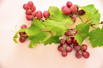 bunch of red grapes