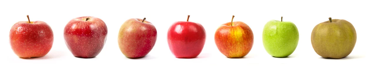 Fotobehang différentes sortes de pommes sur fond blanc © Fox_Dsign