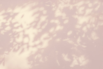 Abstract rose gold light bokeh of natural leaves shadow background of tree branch falling on white concrete wall