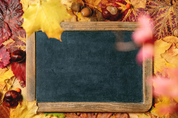 Vintage black empty chalkboard over variety of red and yellow autumn leaves background. Flat lay. Fall creative background.