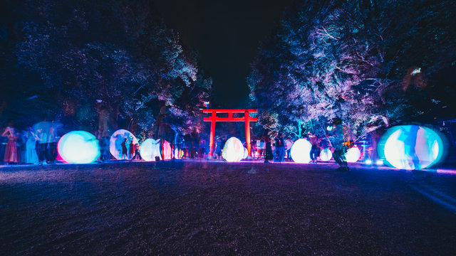 People explore and enjoy the non-material digital technology to transform nature into an art space, the exhibition by teamLab - Tadasu Forest at Shimo