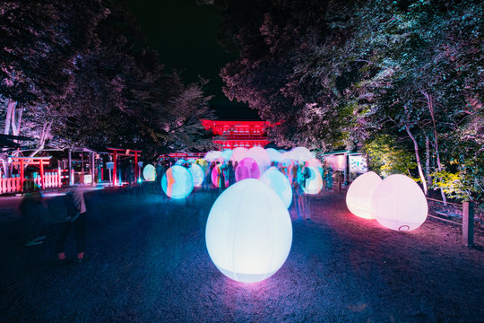 People explore and enjoy the non-material digital technology to transform nature into an art space, the exhibition by teamLab - Tadasu Forest at Shimo