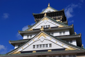 Japanese Castle - Osaka