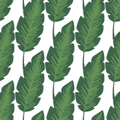 Fototapeta na wymiar Jungle leaves seamless pattern. Exotic plant. Tropical pattern, palm leaf