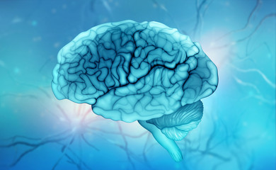 Human brain. Neural communications. Thinking, Intelligence, Mind, Creativity. 3d illustration of neuroscience of modern science