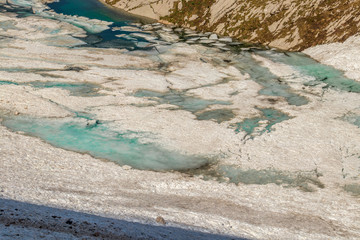 Vivid green color of lake Ledvicka early summer